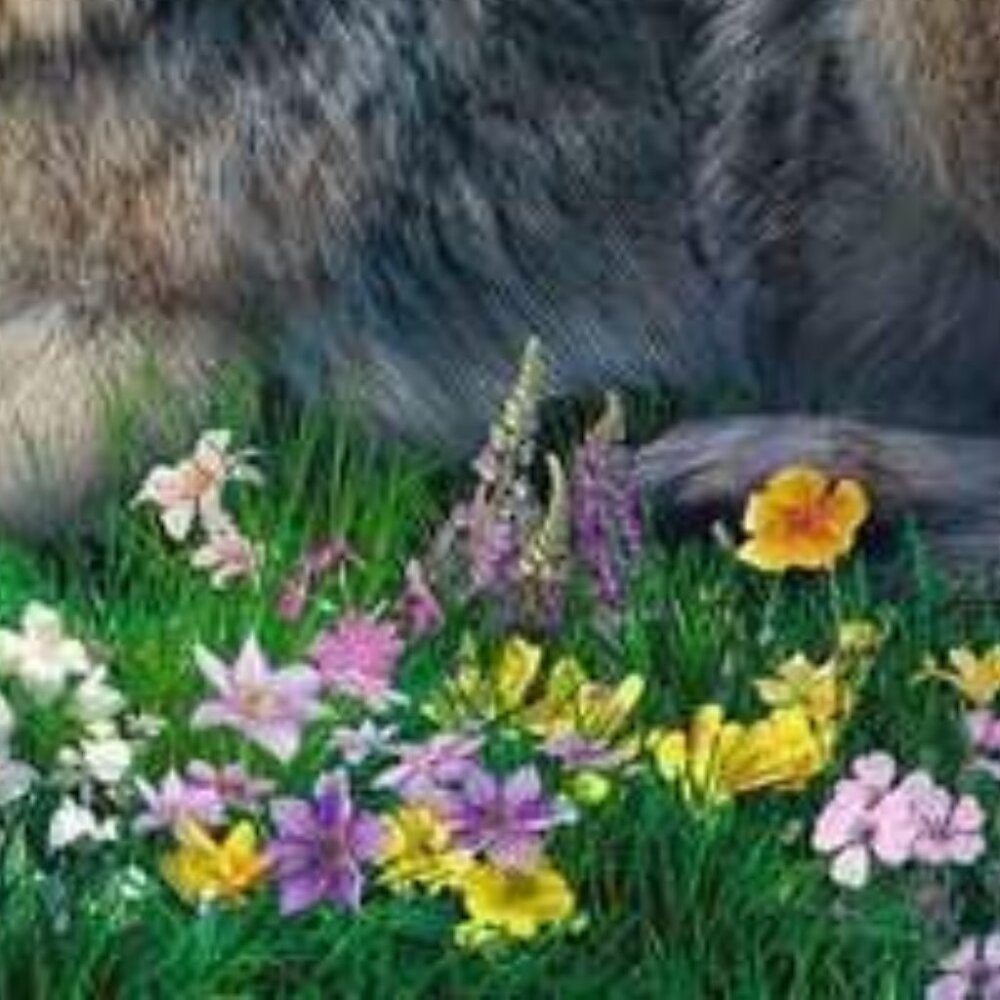 Ravensburger 1500pcs Puzzle-Wolves In Spring | Adult Puzzles New In Box - Picture 13 of 16